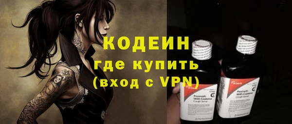 прущие грибы Кинешма
