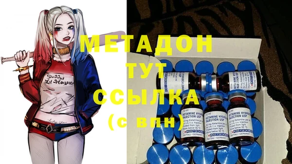 прущие грибы Кинешма